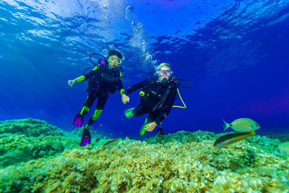 Plongée-sous-marine