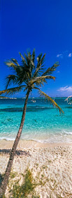 Tobago Cays