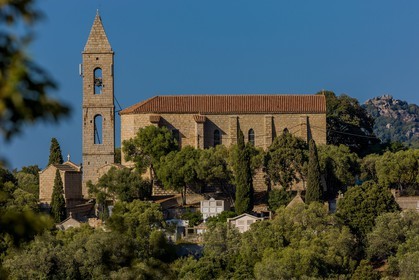 Figari