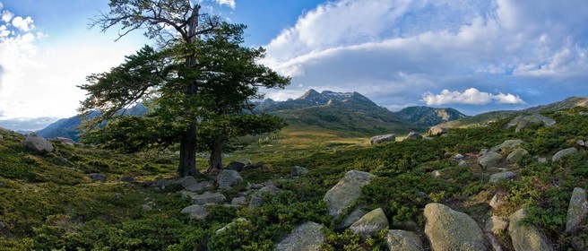 GR 20 Nord