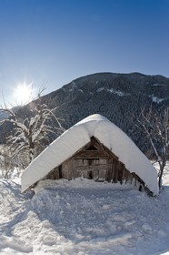 Auron