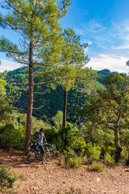 Bikingman