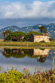 Salins d'Hyères