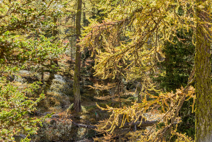 Col de la Moutière