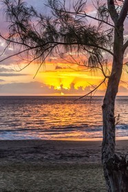 Ile de La Réunion