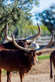 Parc animalier de la Barben