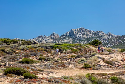 Tonnara