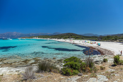 Saleccia