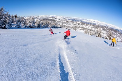 Snowboard
