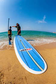 Paddle