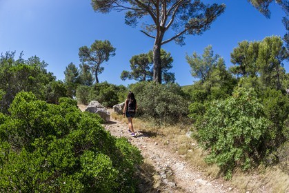 Ollioules