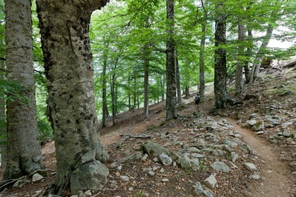 GR 20 Nord