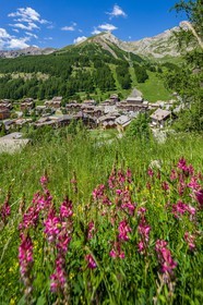 .La Foux d'Allos