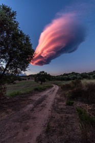 Lenticulaire