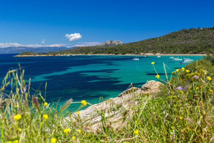 Porquerolles