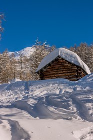 Auron