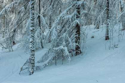 Le Seignus d'Allos
