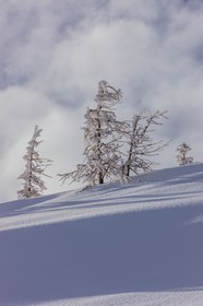 Isola 2000