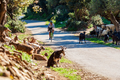 Bikingman Corsica 2019