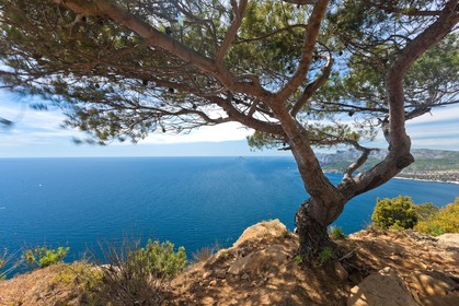 Cap Canaille
