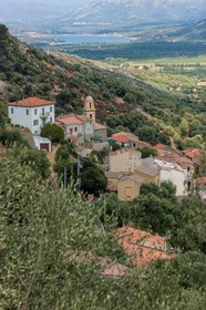 Avapessa