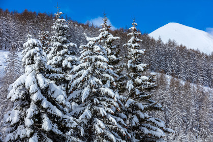 La Foux-d'Allos