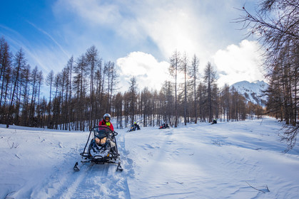 Skidoo