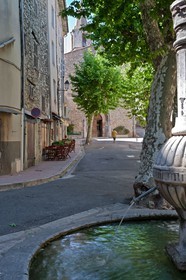 Bargemon