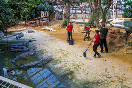 La Ferme aux crocodiles