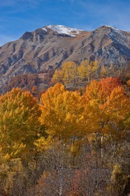 Saint-Etienne-de-Tinée