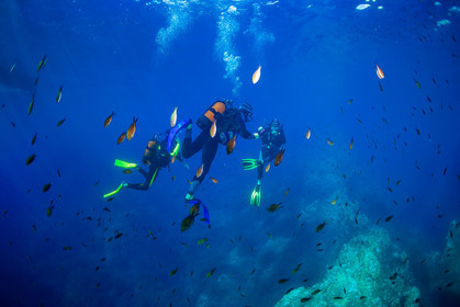 Plongée-sous-marine