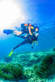 Plongée-sous-marine