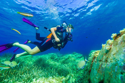 Plongée-sous-marine