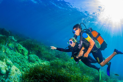 Plongée-sous-marine