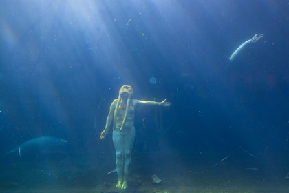 Seaquarium
