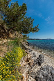 La Londe-les-Maures