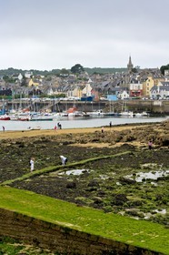 Douarnenez