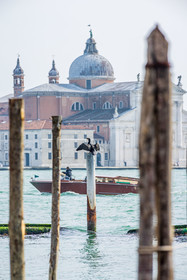 Venise