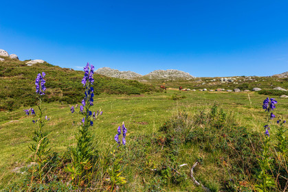 Plateau du Coscione