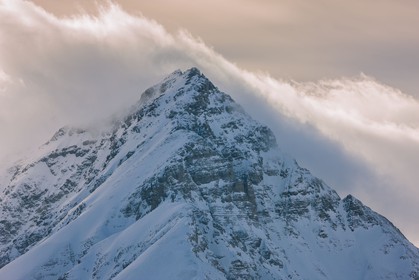 Auron