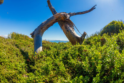 Lérins Sainte-Marguerite