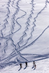 Auron
