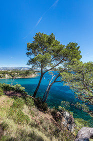 Plage de Fabrégas