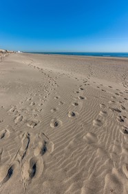 Canet-en-Roussillon