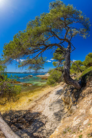Lérins Sainte-Marguerite 2024