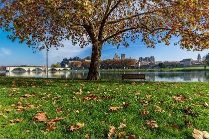 Avignon