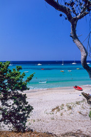 Saleccia