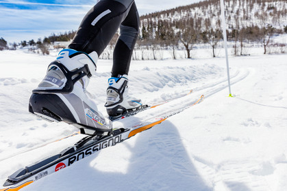 Ski-de-fond