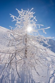 La Foux d'Allos