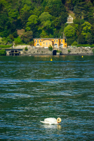 Como